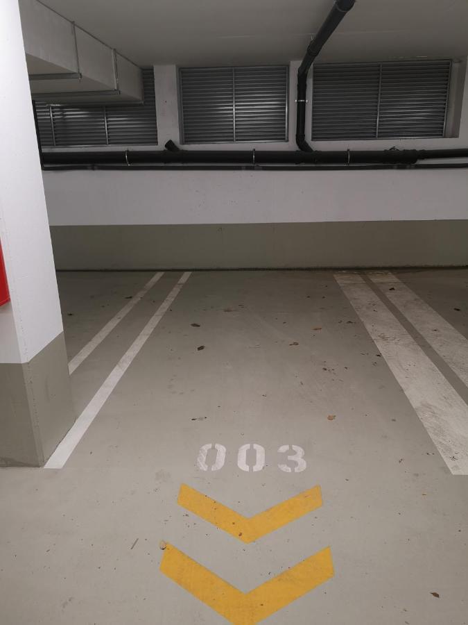 Rooftop Terrace, Free Garage Parking And Pool! Wien Ngoại thất bức ảnh