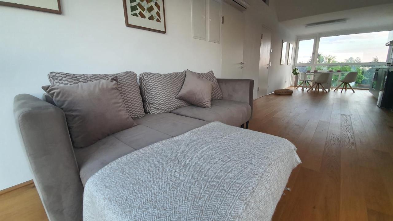 Rooftop Terrace, Free Garage Parking And Pool! Wien Ngoại thất bức ảnh